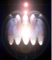 variation14