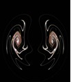 variation224
