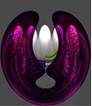 variation86